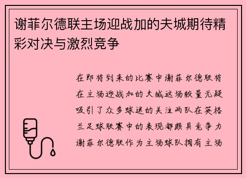 谢菲尔德联主场迎战加的夫城期待精彩对决与激烈竞争