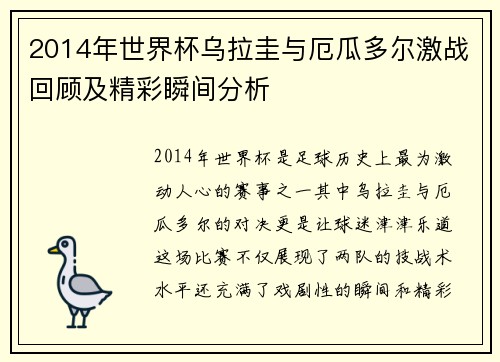 2014年世界杯乌拉圭与厄瓜多尔激战回顾及精彩瞬间分析