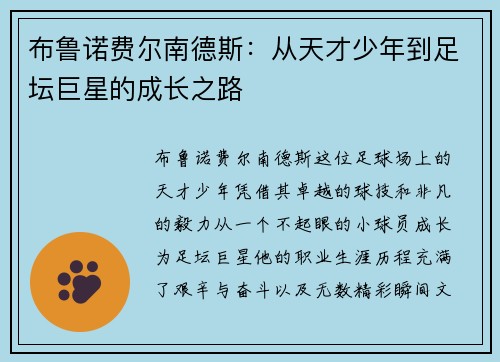 布鲁诺费尔南德斯：从天才少年到足坛巨星的成长之路