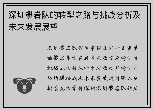 深圳攀岩队的转型之路与挑战分析及未来发展展望